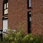 JESENJE_LIŠĆE_Klinker_Fasadne_Cigle_Nova_Brick-6